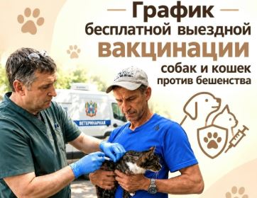 В Ростове пройдет месячник бесплатной выездной вакцинации собак и кошек против бешенства 