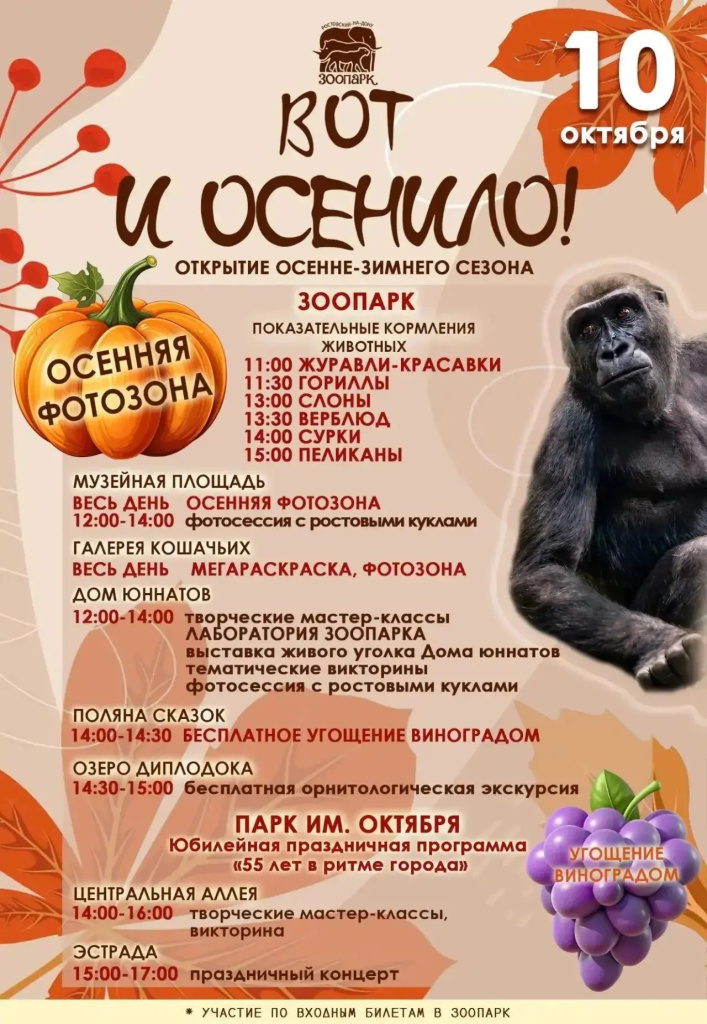 3de80375-1255-4746-ba75-44ce3bb9cd57.jpg