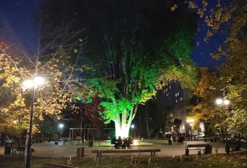 сквероганова.jpg