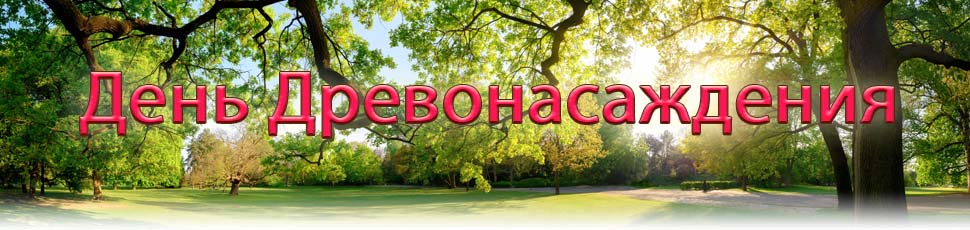 2020-03-17WFNSARBOR-DAY-HEADERRU.jpg