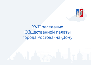 Изображение XVII заседание общественной палаты города Ростова-на-Дону