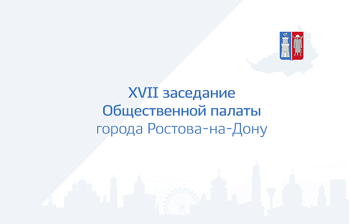 XVII заседание общественной палаты города Ростова-на-Дону