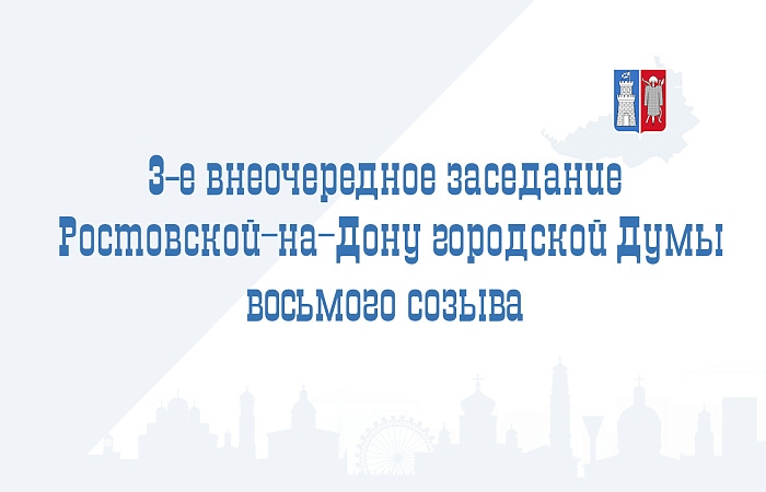 3-е внеочередное заседание Ростовской-на-Дону городской Думы VIII созыва