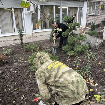 Сотрудники городского комитета по охране окружающей среды высадили в День древонасаждения клены, липы, тисы и хризантемы