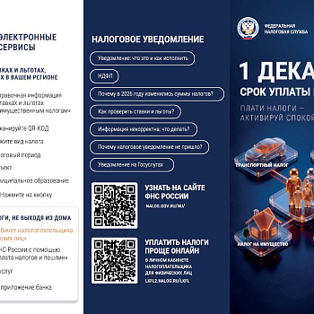 1 декабря срок уплаты налогов