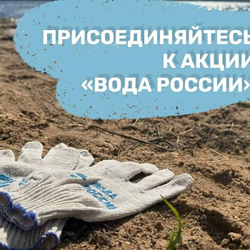 Администрация города Ростова на Дону приглашает жителей принять участие в субботнике по очистке прибрежной зоны реки Мёртвый Донец