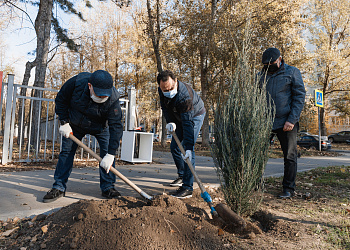 В Ростове открыли аллею славы и благодарности медицинским работникам «Спасибо за жизнь!»