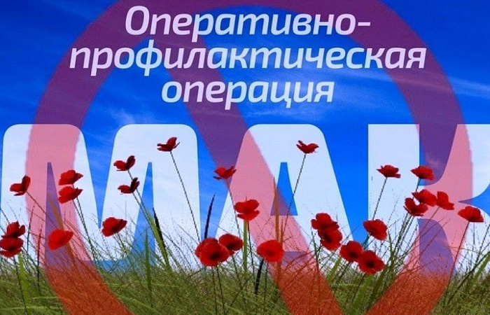 О проведении оперативно–профилактической операции «Мак-2024»