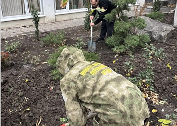 Сотрудники городского комитета по охране окружающей среды высадили в День древонасаждения клены, липы, тисы и хризантемы