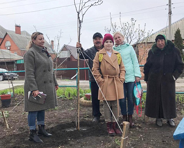 Депутат Евгений Соболев  организовал высадку деревьев на детской площадке 