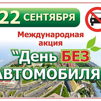 Ростов-на-Дону присоединится к Всемирному «Дню без автомобиля»: город зовёт жителей на день без выхлопов и шума