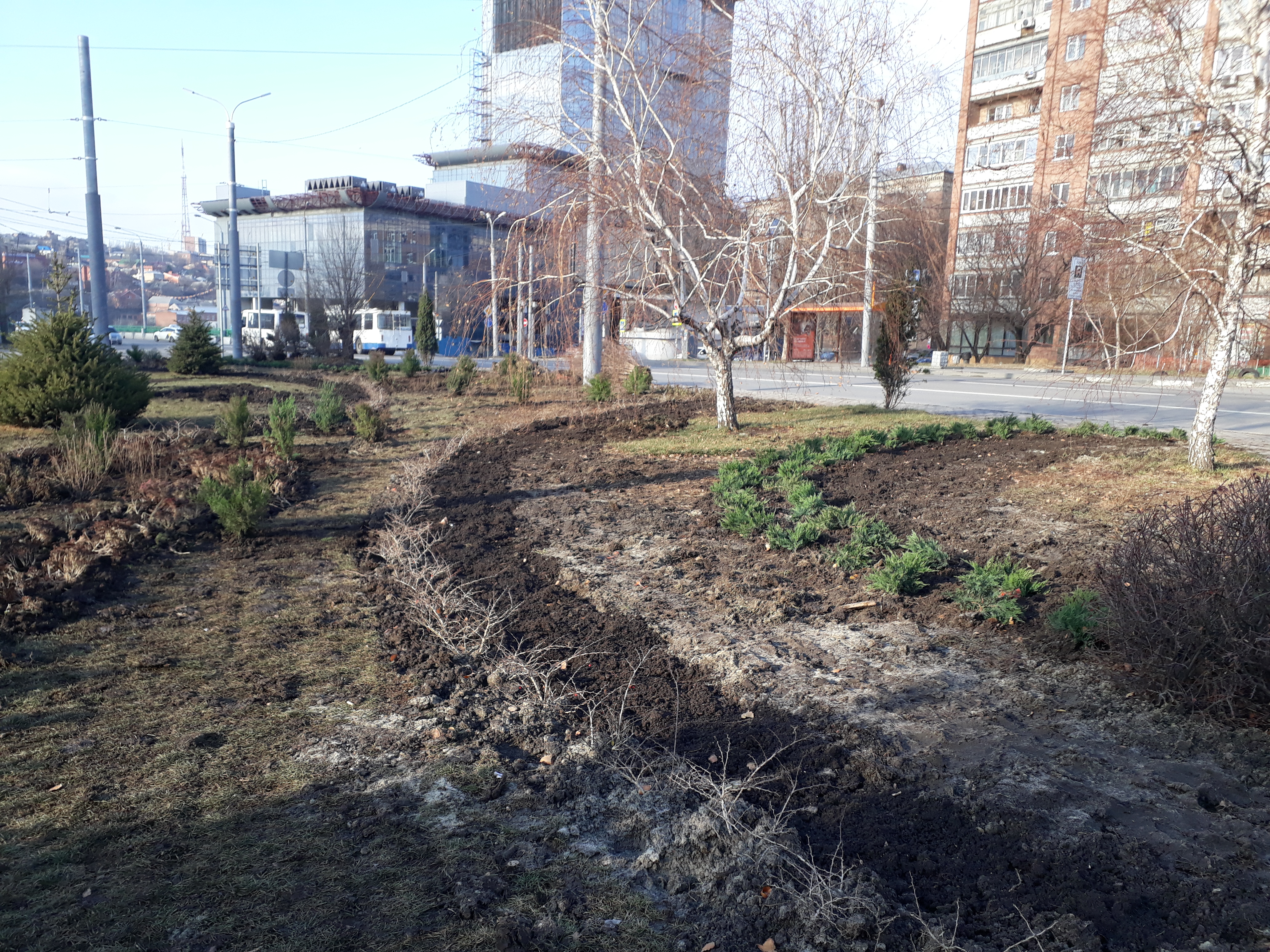 На пл. 5-го Донского корпуса выполнено комплексное озеленение