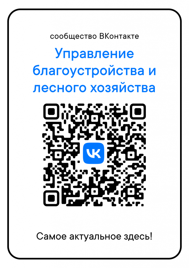 qr.png