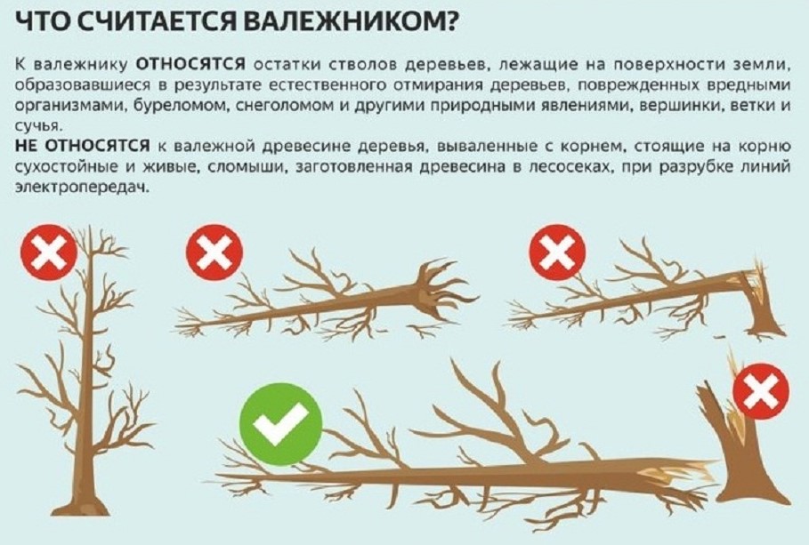 WhatsApp Image 2025-02-11 at 15.14.38.jpeg