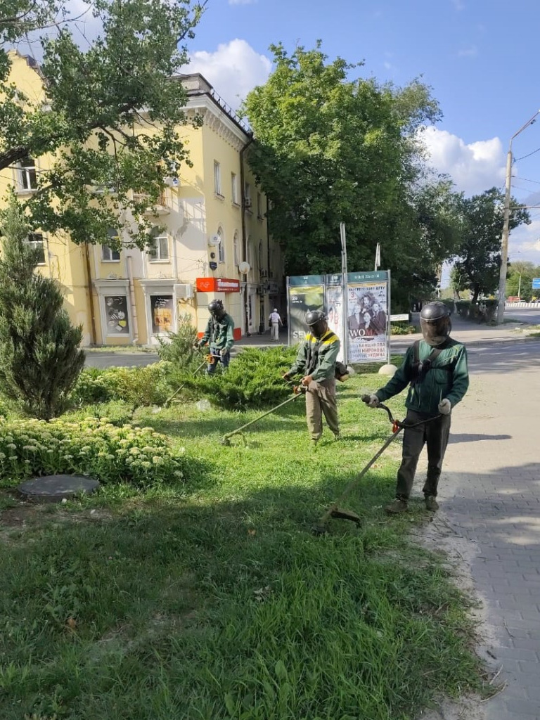 покос.jpeg