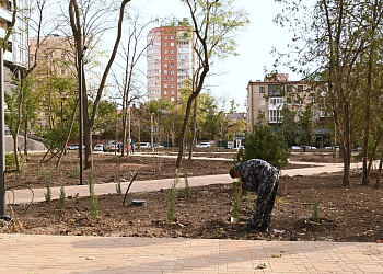 Благоустройство сквера Строителей находится на завершающем этапе