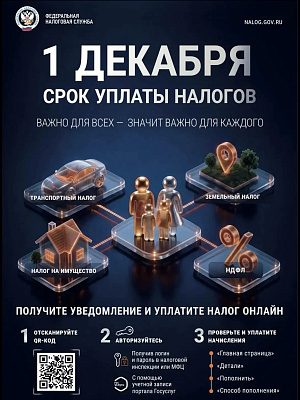 Срок уплаты имущественных налогов 01.12.2026 г.