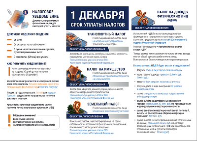 Срок уплаты налогов 1 декабря 2026 года