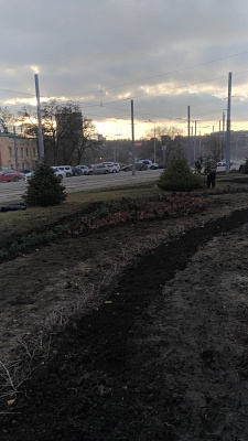 На пл. 5-го Донского корпуса выполнено комплексное озеленение